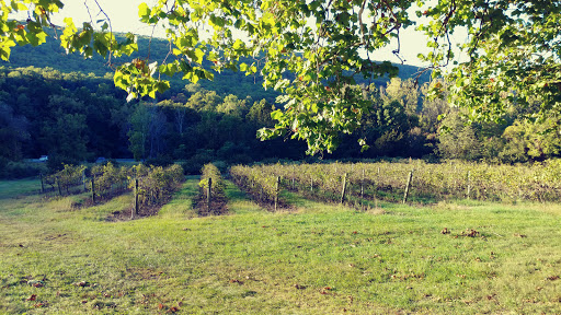 Winery «Palaia Winery», reviews and photos, 10 Sweet Clover Rd, Highland Mills, NY 10930, USA