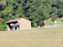 Woodbridge Farms - Photo 3 - Car repair in Etters, PA, Harrisburg