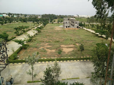 Google Maps image 12