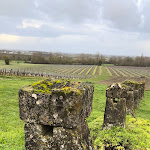 Photo n° 2 de l'avis de Navin.a fait le 01/03/2024 à 03:04 pour Le Clos des Pierres Blanches à Brie-Sous-Archiac