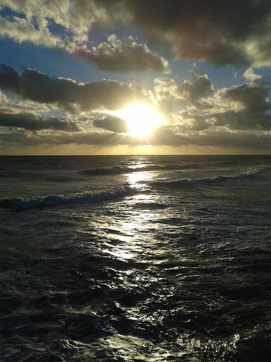 Park «Juno Dunes Natural Area», reviews and photos, 14501 US-1, Juno Beach, FL 33408, USA