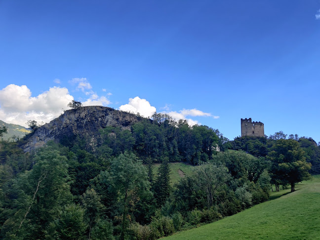 Kommentare und Rezensionen über Procha Burg