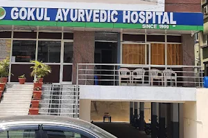 Gokul Ayurvedic Hospital image