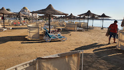 Foto av Palm Beach Piazza och bosättningen