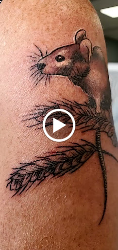 Body Piercing Shop «Black Ink Tattoo & Body Piercing», reviews and photos, 540 E Terra Cotta Ave, Crystal Lake, IL 60012, USA