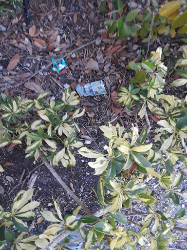 Barber Shop «Southland Barber Styling Shop», reviews and photos, 983 W State Rd 84, Fort Lauderdale, FL 33315, USA