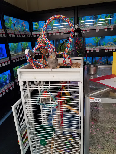 Pet Supply Store «Pet Supplies Plus», reviews and photos, 1665 VFW Pkwy, West Roxbury, MA 02132, USA