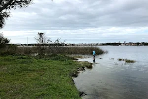 Lake Seminole Boat Ramp (Pinellas County) image