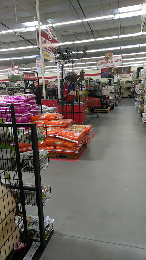 Home Improvement Store «Tractor Supply Co.», reviews and photos, 5359 W US Hwy 90, Lake City, FL 32055, USA