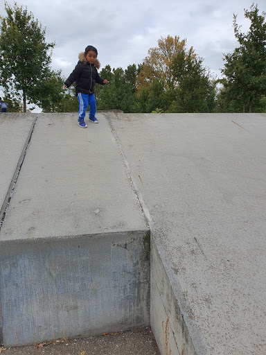Skatepark Zuiderpark
