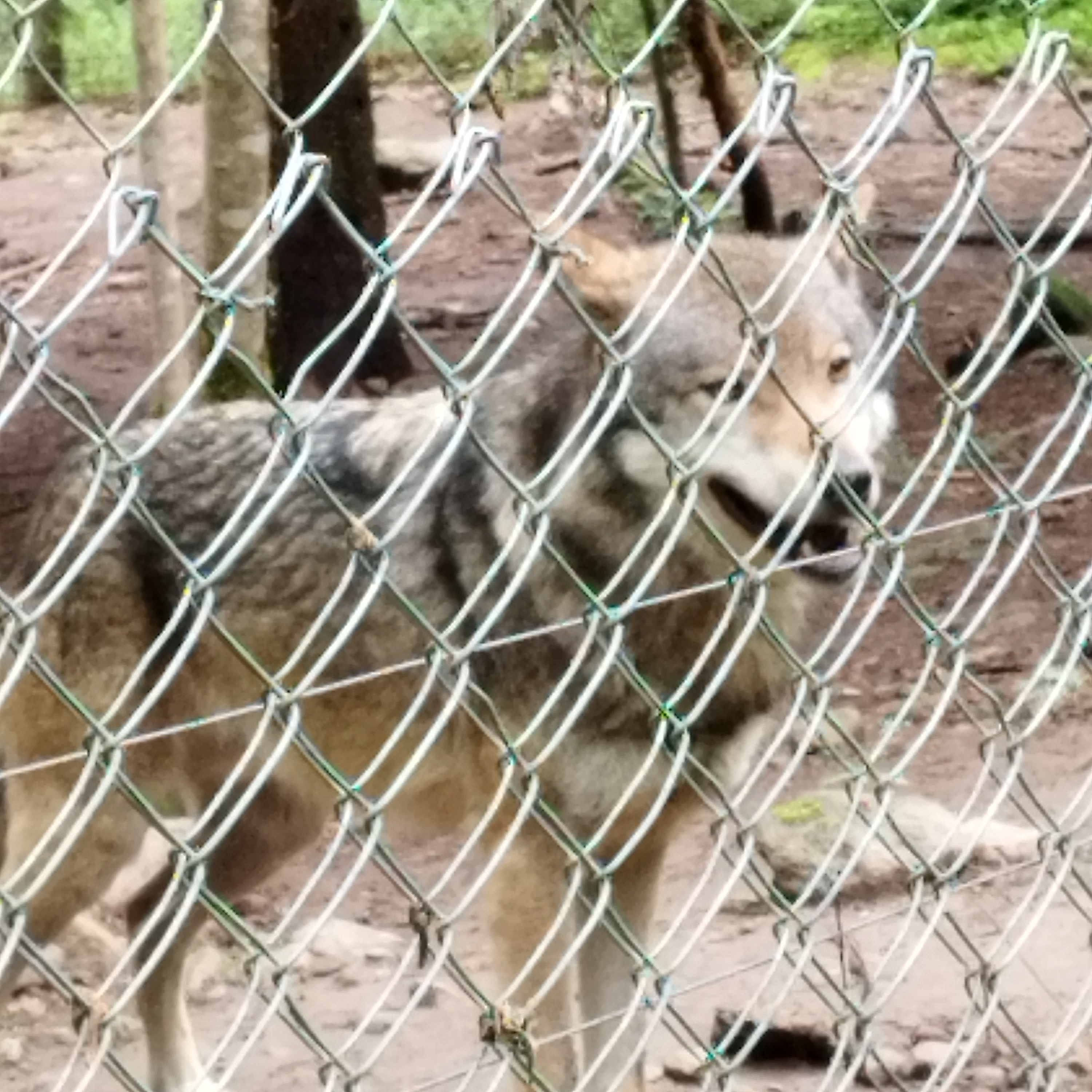 Photo n° 3 de l'avis de Damien.o fait le 16/05/2023 à 16:43