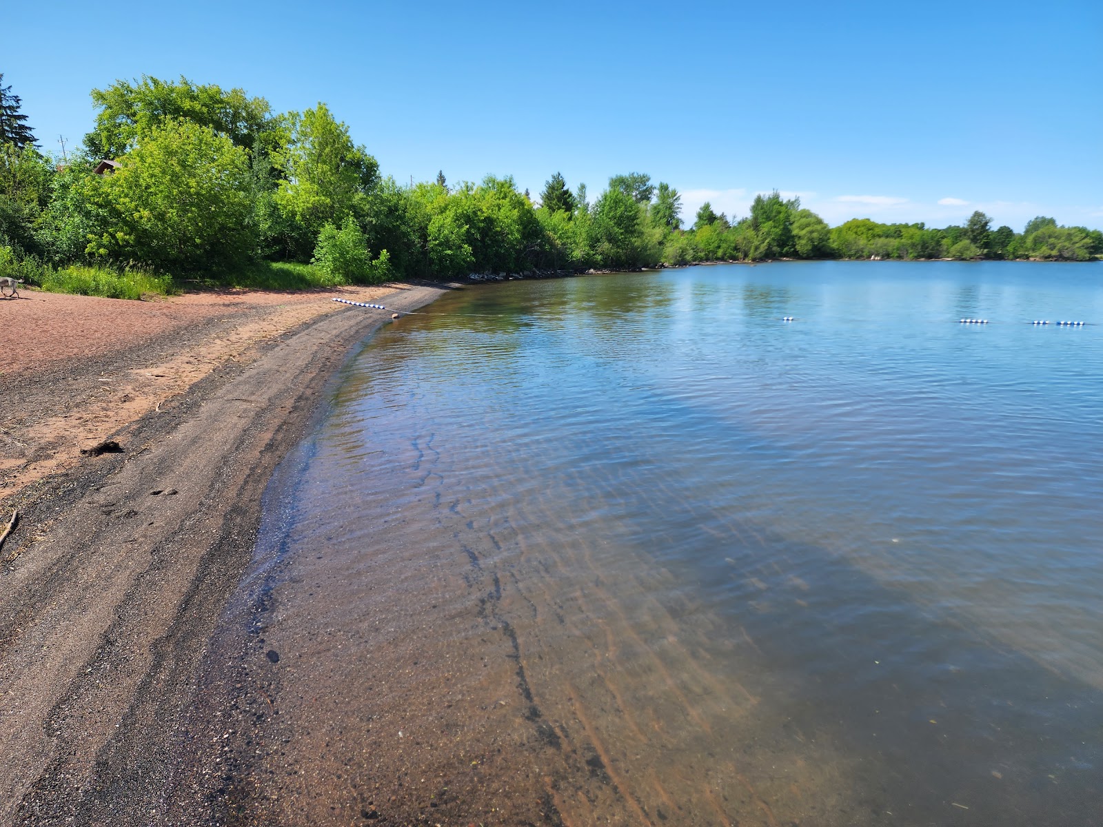 Φωτογραφία του Bayview Park Beach με μικρά μπεζ βότσαλα επιφάνεια