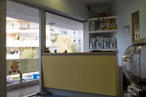 Yuval Samuel Veterinary Medicine Centers image