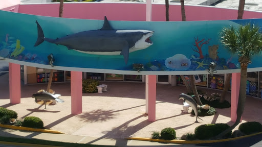 Gift Shop «Big Shark», reviews and photos, 2715 N Atlantic Ave, Daytona Beach, FL 32118, USA