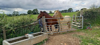 Higher Bughill Farm