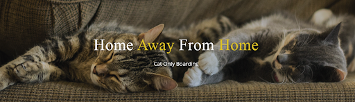 Cateau Marmont - Cat Boarding In Los Angeles, Cat Grooming Los Angeles, Cat Boarding Burbank, Cat Boarding Los Feliz