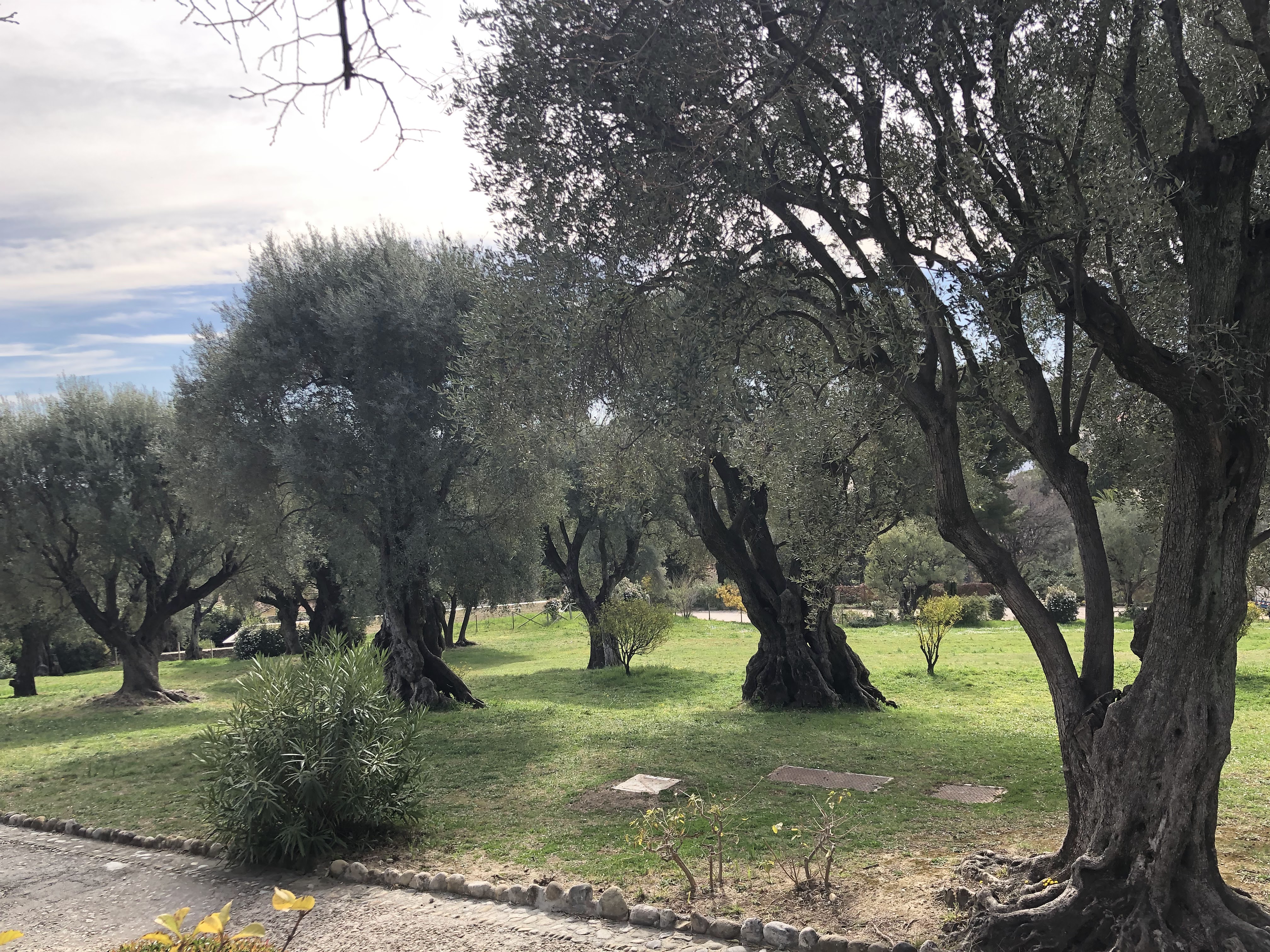 Photo n° 15 de l'avis de Denis.u fait le 25/04/2019 à 10:20