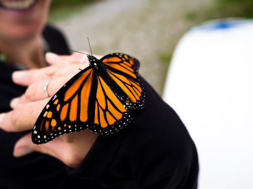 Canoe & Kayak Rental Service «Raquette River Outfitters», reviews and photos, 1265 Main St, Long Lake, NY 12847, USA