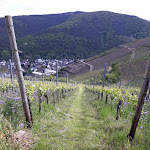 Photo n°44 de l'avis de Antonio.a fait le 12/05/2019 à 16:15 sur le  Altenwegshof à Bad Neuenahr-Ahrweiler
