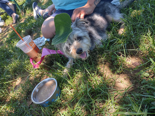Dog Park «Murfreesboro Bark Park», reviews and photos, 1540 W College St, Murfreesboro, TN 37130, USA