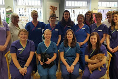 King's Road Veterinary Practice Ltd