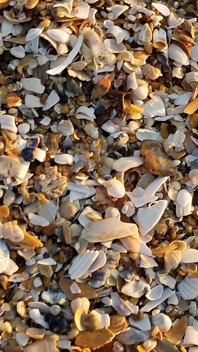 Army & Navy Surplus Shop «Navy Exchange-Dam Neck Annex», reviews and photos, 1977 Terrier Ave, Virginia Beach, VA 23461, USA