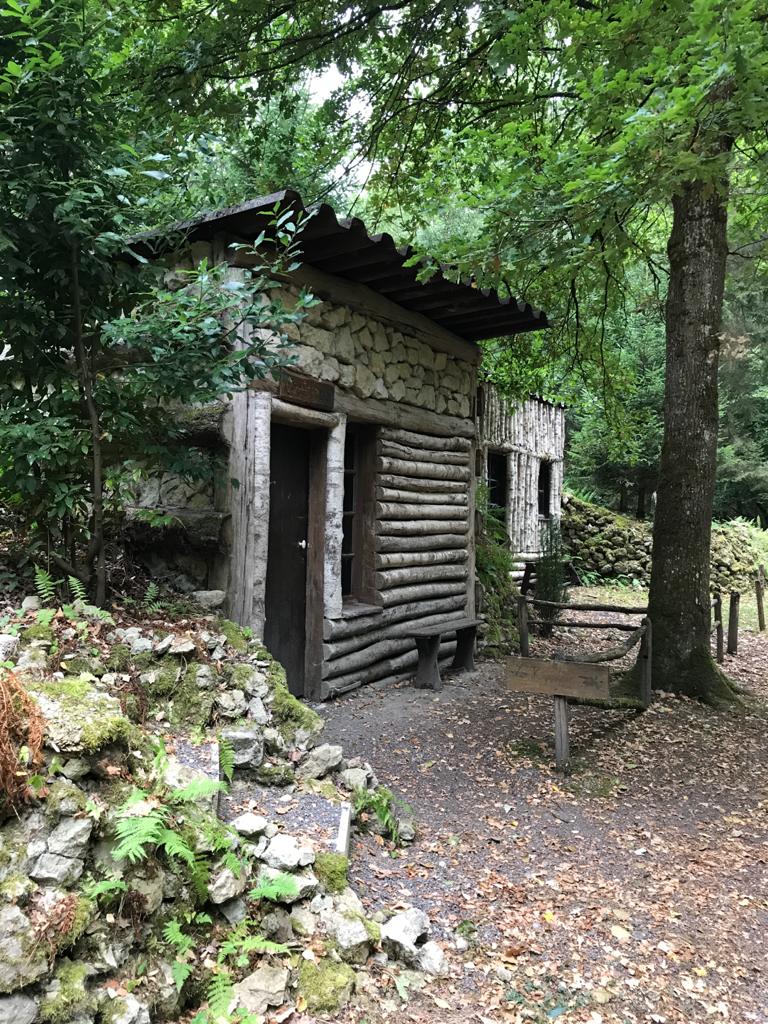 Photo n° 2 de l'avis de chiel.o fait le 26/09/2020 à 12:37