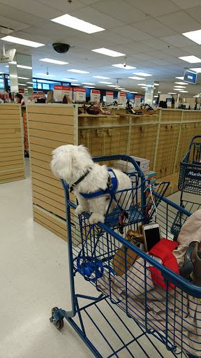 Department Store «Marshalls», reviews and photos, 11239 Ventura Blvd, Studio City, CA 91604, USA