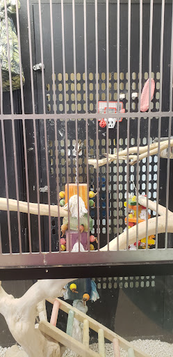 Pet Supply Store «PetSmart», reviews and photos, 5151 E 82nd St, Castleton, IN 46250, USA