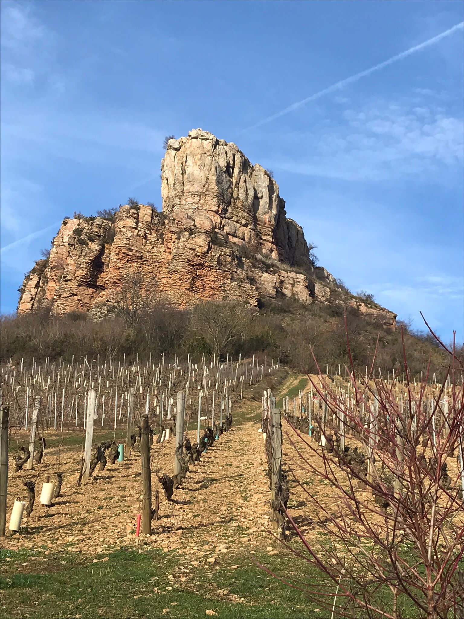 Photo n° 2 de l'avis de Michèle.U fait le 16/02/2024 à 18:56