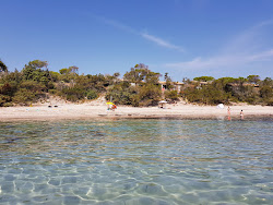Foto di Plage de Villata zona selvaggia