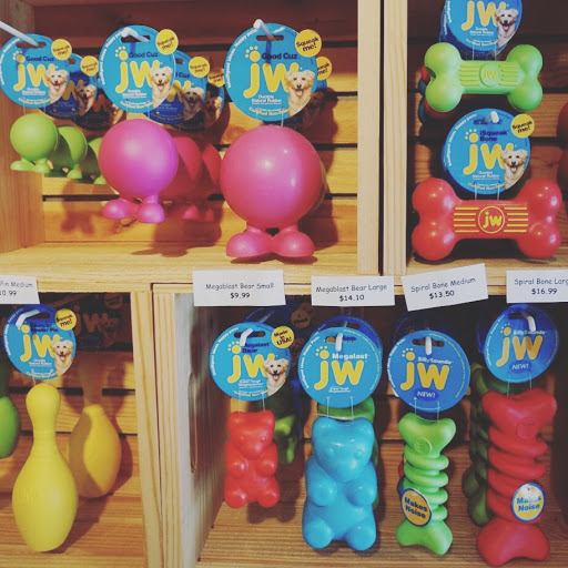 Pet Groomer «Oasis Dog Spa & Shoppe», reviews and photos, 2911 Centre Ave #2, Reading, PA 19605, USA