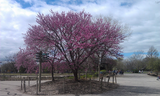 Zoo «Sedgwick County Zoo», reviews and photos, 5555 Zoo Boulevard, Wichita, KS 67212, USA