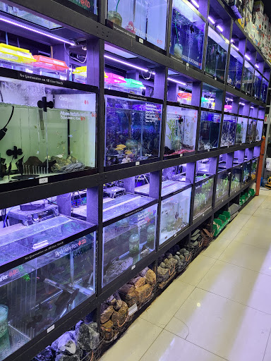 Pet Supply Store «Monster Aquarium Inc.», reviews and photos, 131-08 40 Rd, Flushing, NY 11354, USA