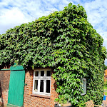 Photo n°3 de l'avis de Günter.a fait le 04/07/2022 à 21:04 sur le  Teestube Westgaster Mühle à Norden