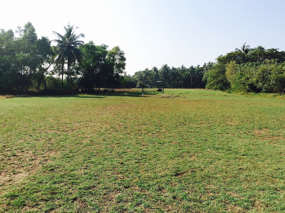TIPPU Stadium