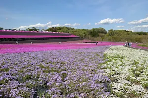 Ichikaimachi Shibazakura Park image