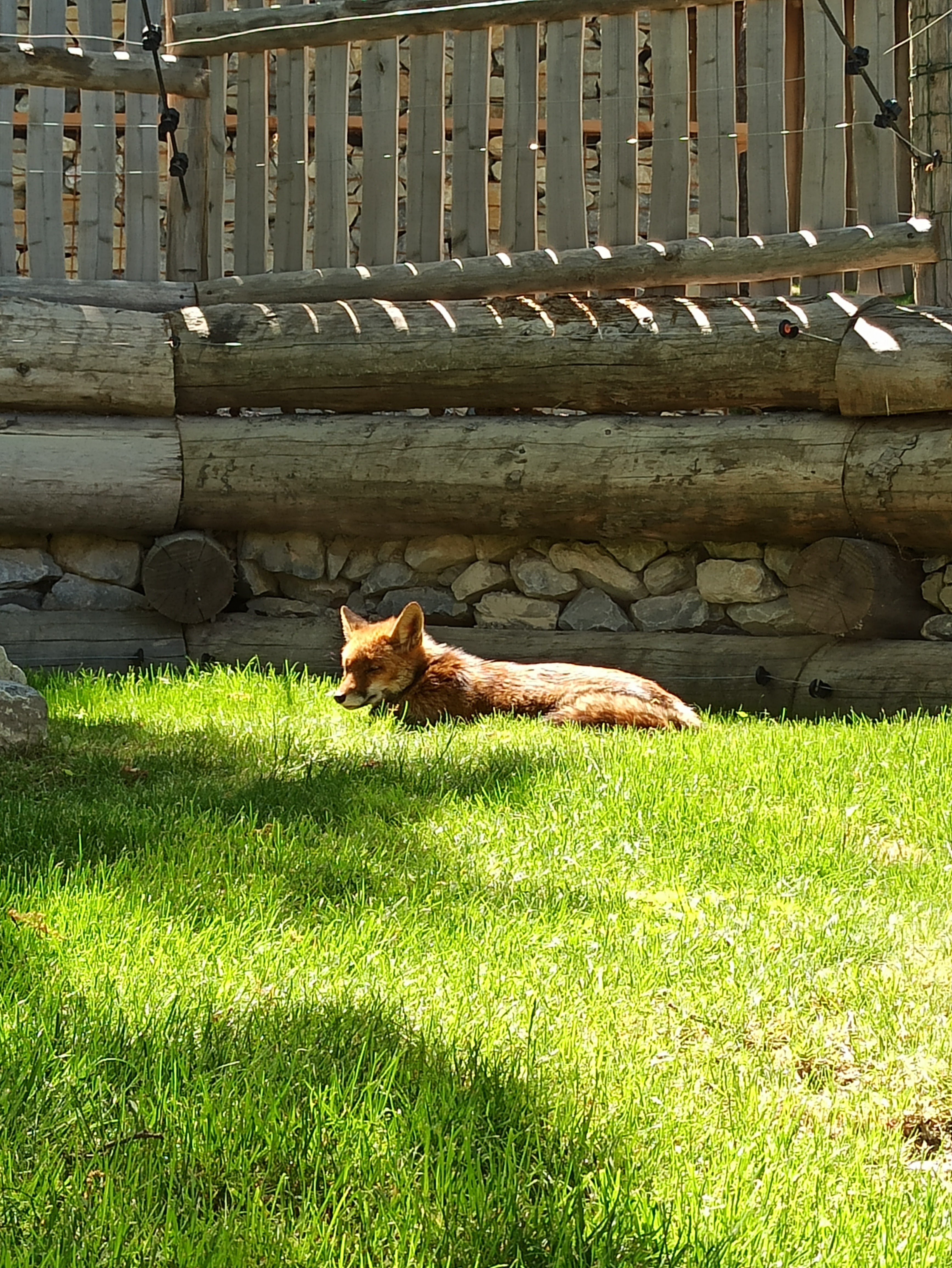 Photo n° 5 de l'avis de Romain.r fait le 29/05/2022 à 17:59