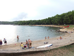 Cuvi beach'in fotoğrafı ve yerleşim