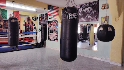 PARTIGANOS BOXING GYM