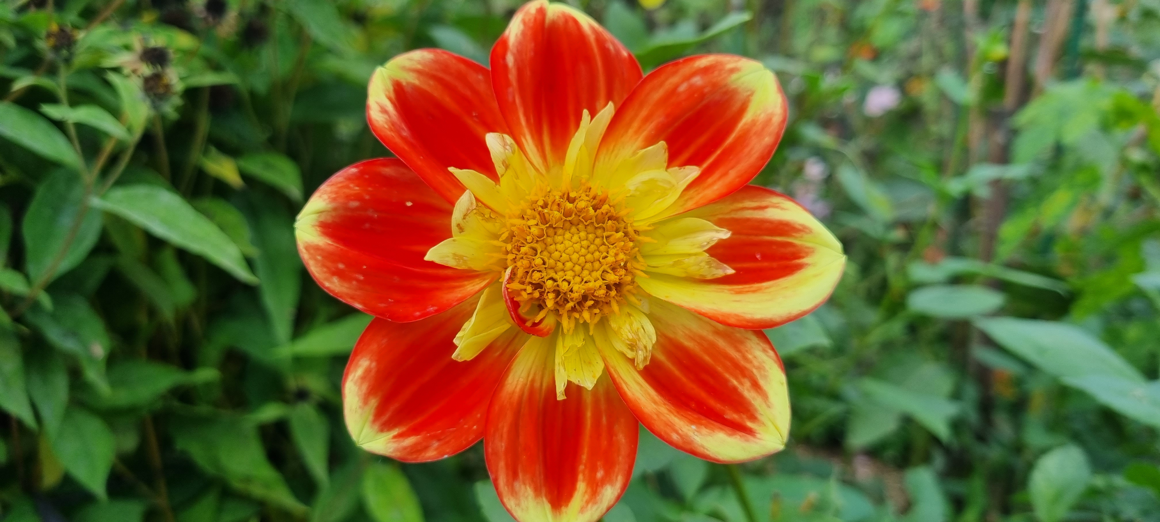 Photo n° 27 de l'avis de lemagicien40. fait le 03/11/2023 à 07:28