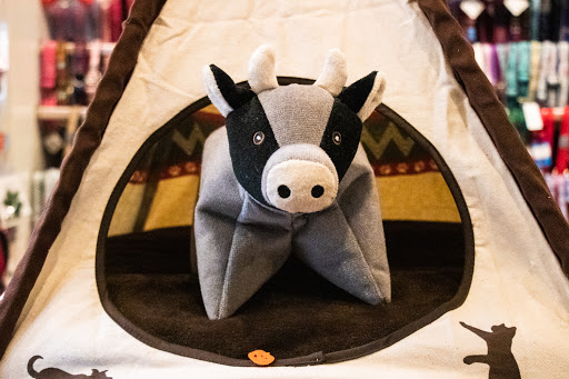 Pet Supply Store «The Fish & Bone, Boston MA», reviews and photos, 217 Newbury St, Boston, MA 02116, USA