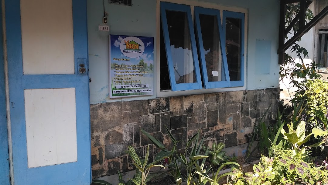 Rumah Kelinci Muntilan RABBIT & FISH SHOP