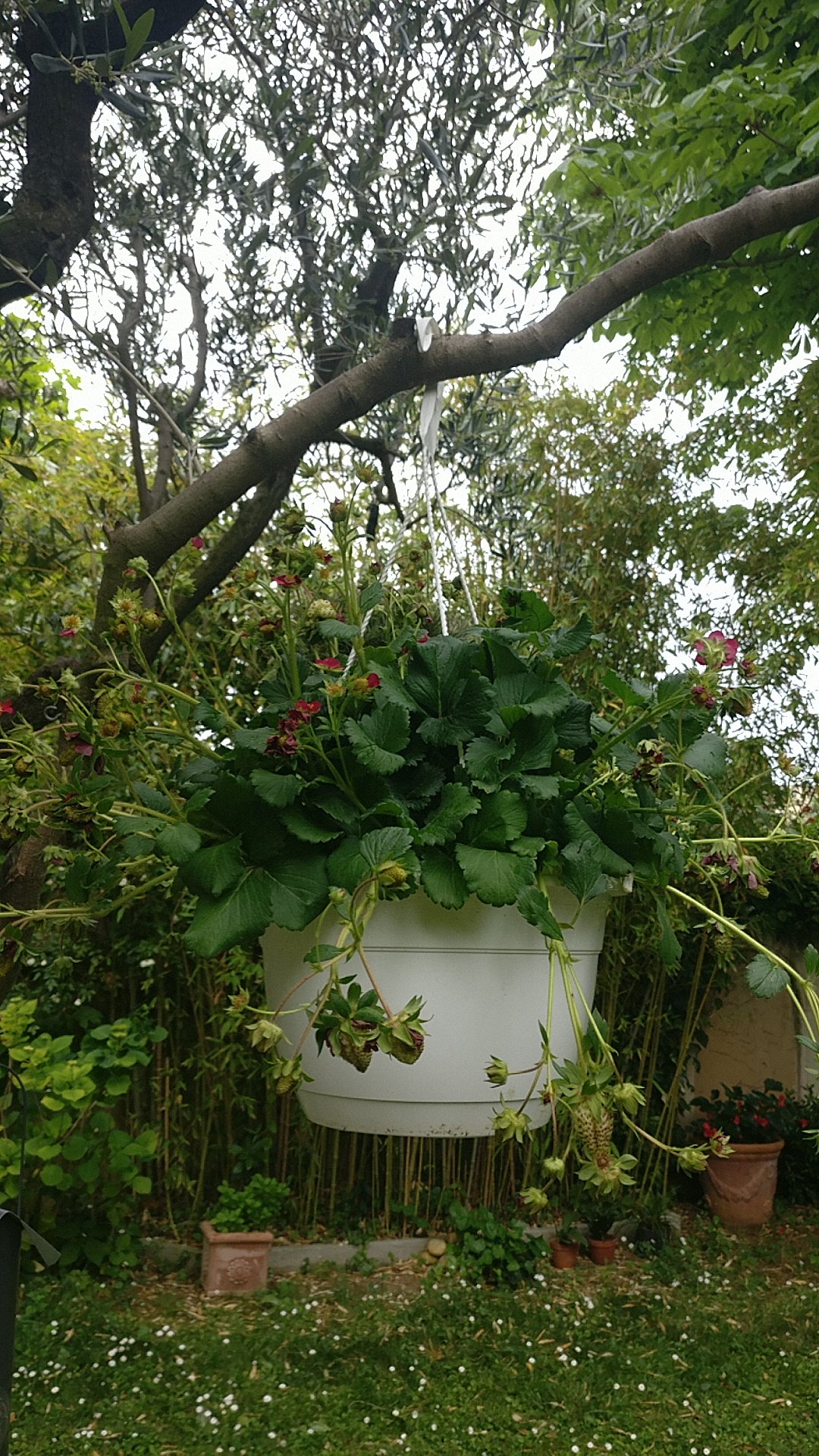 Photo n° 2 de l'avis de Olivier.i fait le 26/05/2019 à 10:25