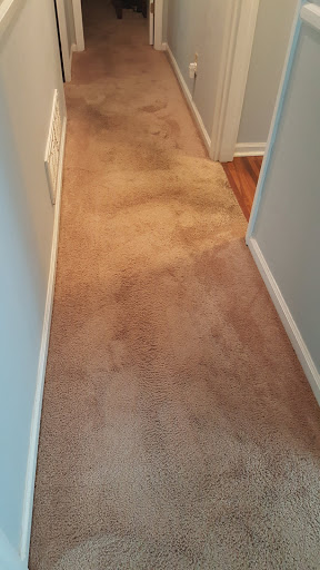 AdvancePro Carpet Cleaning in Swansea, South Carolina
