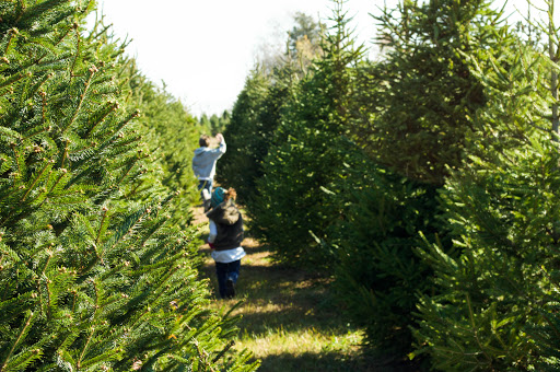 Christmas Tree Farm «Piney Acres», reviews and photos, 1115 E 1000 N, Fortville, IN 46040, USA