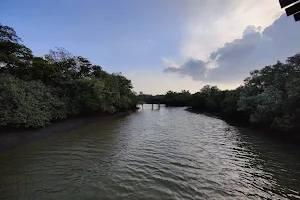 Sungei Buloh Wetland Reserve Wetland Centre image