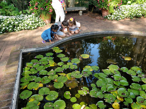 Garden «Wing Haven», reviews and photos, 248 Ridgewood Ave, Charlotte, NC 28209, USA