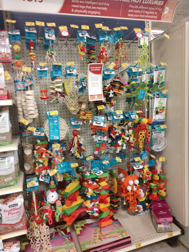 Pet Supply Store «PetSmart», reviews and photos, 2840 W Chandler Blvd, Chandler, AZ 85224, USA