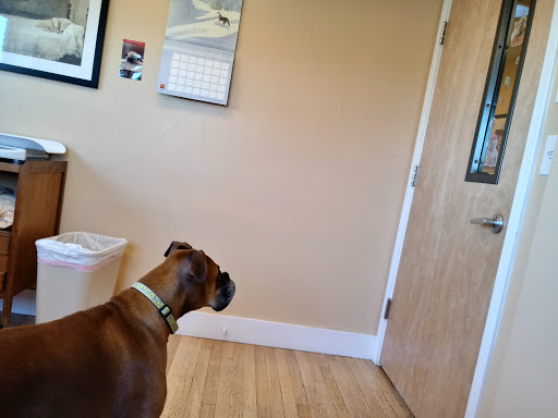 Second Chances Veterinary Care image